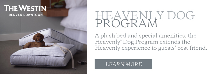 The Westin Denver Downtown - Heavenly Dog Program. A plush bed and special amenities, the Heavenly Dog Program extends the Heavenly experience to guests' best friend. Learn more.