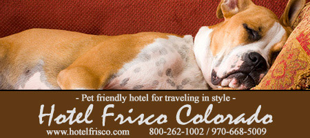 hotel fido