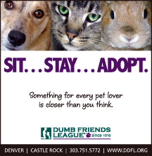 Sit...Stay...Adopt - Something for every pet lover is closer than you think. Dumb Friends League since 1910. Denver, Castle Rock, 303-751-5772, www.ddfl.org