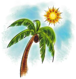 Palm Tree and Sun