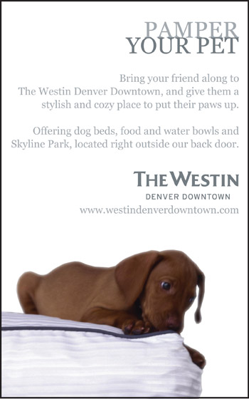 Pamper Your Pet - The Westin, Denver Downtown
