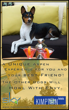 Aspen Sky Hotel, a unique Aspen experience for you and your best friend! The other dogs will howl with envy. 970-925-6760