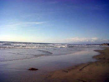 Empty beach